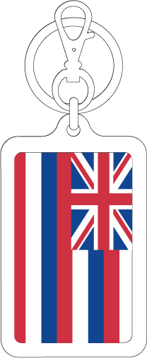 【選べるカラー】KSK236 ハワイ HAWAII 国旗キーホルダー 旅行 スーツケース