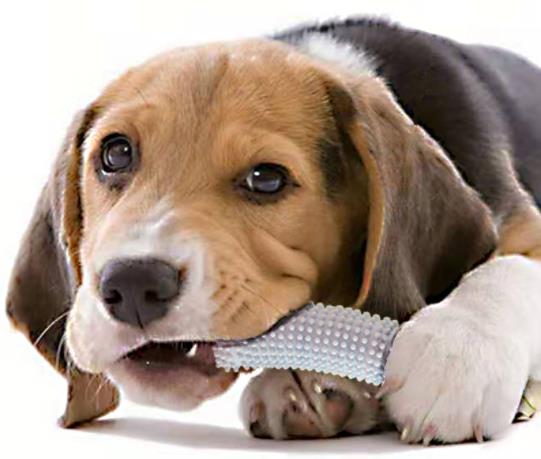 ペット用品 シミュレーションシューズ 犬おもちゃ 玩具 おもちゃ ストレス解消 歯健