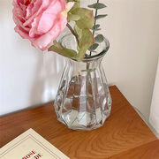 シンプル ガラス 花瓶 リビングルーム 装飾 新品 フラワーアレンジメント 透明な