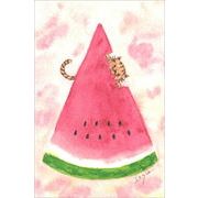 ポストカード marron125「スイカを食べる猫」水彩画 夏の果物