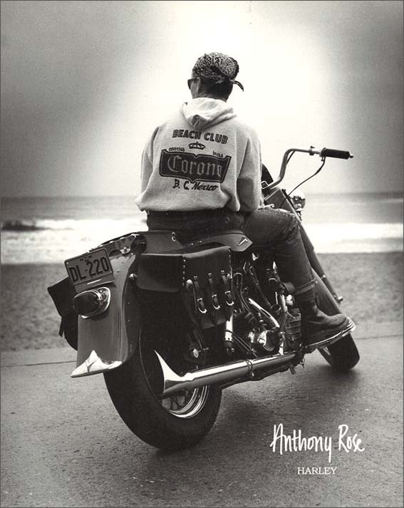 ポスター モノクロ写真「Harley」サイズ/240×300mm