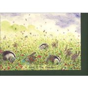 グリーティングカード 多目的「草原の一日」メッセージカード