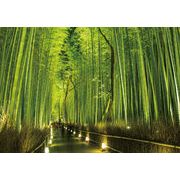 ポストカード カラー写真 日本風景シリーズ「京都 嵯峨野」観光地 名所 メッセージカード