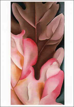 ポストカード アート オキーフ「ピンクとグレーのオークの葉」名画 郵便はがき