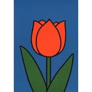ポストカード ミッフィー/ディック・ブルーナ「チューリップの花」イラスト 絵本