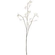 【造花】　ドライノバラノミ　FG-5215CR　クリーム