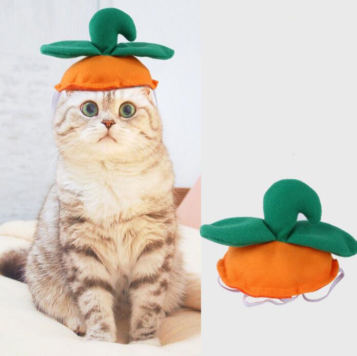 ハロウィン　コスプレ　ペット　アクセサリー　ペット服　帽子　ペット用品　犬猫兼用