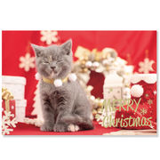 クリスマスネコポストカード　CMP-372