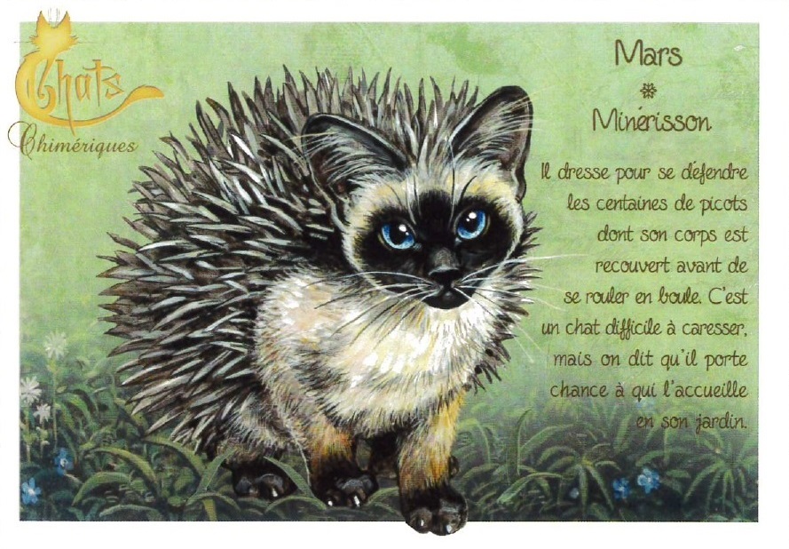セブリーヌ 【 キャット ポストカード 】 Mars Minerisson 3月 ハリネズミ 猫 ネコ