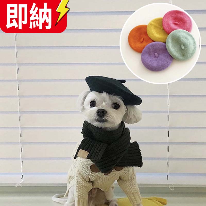 【在庫処理セール】【24H即納】 犬服 ペット　犬猫兼用　ハロウィン衣装★仮装　ペット用品 ネコ雑貨
