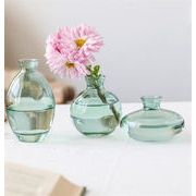 新しいデザイン INSスタイル ガラスの花瓶 クリア シンプル ドライフラワー 花瓶 3点セット 装飾