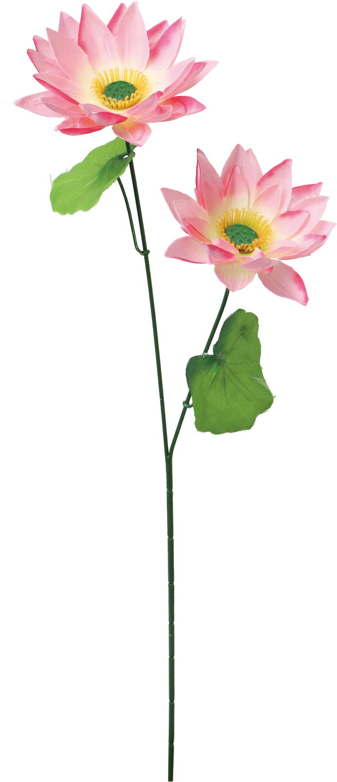 【造花】ロータス×２　ピンク　ＦＦ－３０６０Ｐ