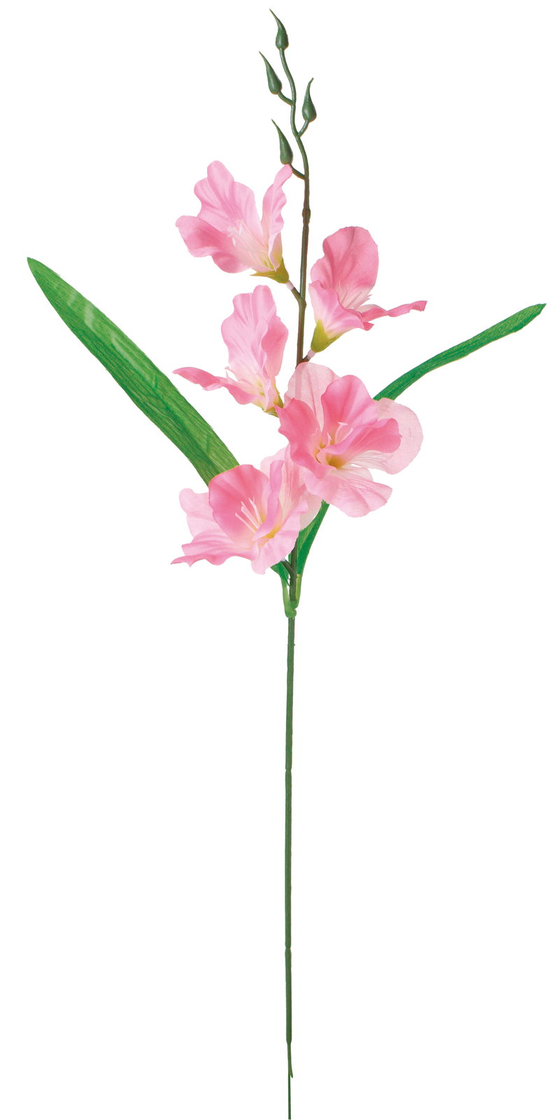 【造花】グラジオラス　ピンク　ＦＦ－３０４４Ｐ
