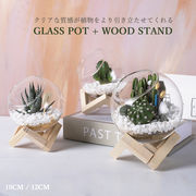 多肉ポット ガラス植木鉢 フラワーベース インスタ映え 装飾花瓶 装飾 ホームギフト 北欧モダン 透明ガラス