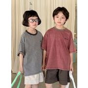 2025夏新作  韓国風子供服  キッズ服  トップス    半袖   ボーダー    Tシャツ  男女兼用    2色