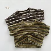 2023夏人気   韓国風子供服    キッズ    ベビー服     Tシャツ   トップス    半袖   ストライプ  2色