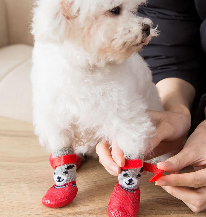 ペット用靴下 猫 犬用ソックス 犬の靴下 Mサイズ - 犬服・アクセサリー