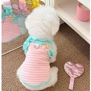 ペット用品 ネコ雑貨 犬服  小型犬服  猫服　   超可愛い   3色