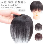 送料無料 ウィッグ 部分ウィッグ 人毛100％ 白髪隠し 長15cm ヘアピース ミセス