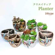 オリジナルクリエイティブ　多肉植物植木鉢 マイクロ風景 フラワーデバイスクラフト装飾