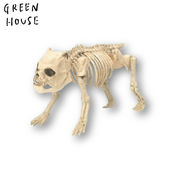 ■GREEN HOUSE(グリーンハウス）■■ハロウィン■　ホラーシリーズ　待ちすぎた犬