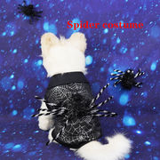 【2023新作】ペット服   小型犬服   犬服   猫服　変身装   ペット用品    ネコ雑貨    ハロウィン