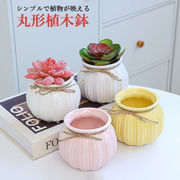 植木鉢 ミニ シンプル プランター 多肉植物 多肉ポット 盆栽鉢植え 植木鉢 花瓶 インテリア置物
