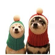 レビューでプレゼント／犬中型犬犬サンタ帽子大型犬犬猫用コスプレペット被り物秋冬防寒