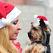 クリスマス飾り用品 りサンタ帽30*45cmChristmas限定 ペットサンタ帽子テディビーベア猫ワンちゃん帽子