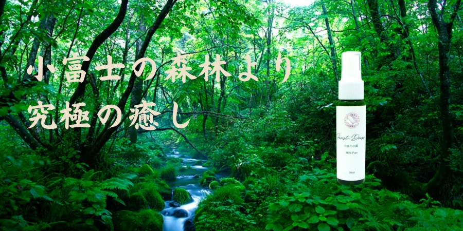小富士の露 - 原始林より天然100 %くろもじ精華-