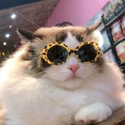ペット 猫 犬 メガネ 防風 サングラス ビーチ シーサイド フォトサングラス