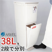 アスベル ゴミ箱 ASVEL 6605 ダストボックス ごみ箱 分別ペダル ごみばこ くず入れ ゴミ