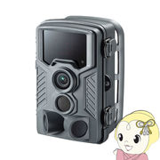 セキュリティカメラ サンワサプライ CMS-SC03GY