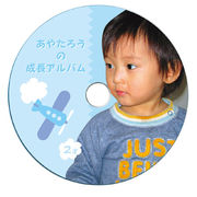 【5個セット】 サンワサプライ インクジェットフォト光沢DVDCDラベル(内径17mm)