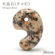 犬島石(タコ石） 大30mm 勾玉 岡山県犬島産 日本の石 日本銘石 Octopus Stone 天然石