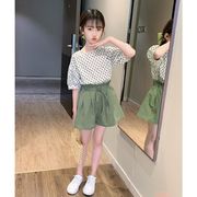 韓国子供服 ２点セット 夏 カジュアル ナチュラル トップス+半ズボン ドット 水玉 半袖 パンツ 薄手