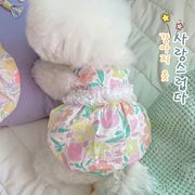 韓国版INSバブルプリンセススカートビションテディ猫子犬犬薄片春夏ペット服卸売