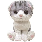 キトン ぬいぐるみ スコティッシュフォールド　ＧＹ