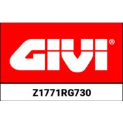 GIVI / ジビ チンアダプター Summer 塗装済み シルバー | Z1771RG730