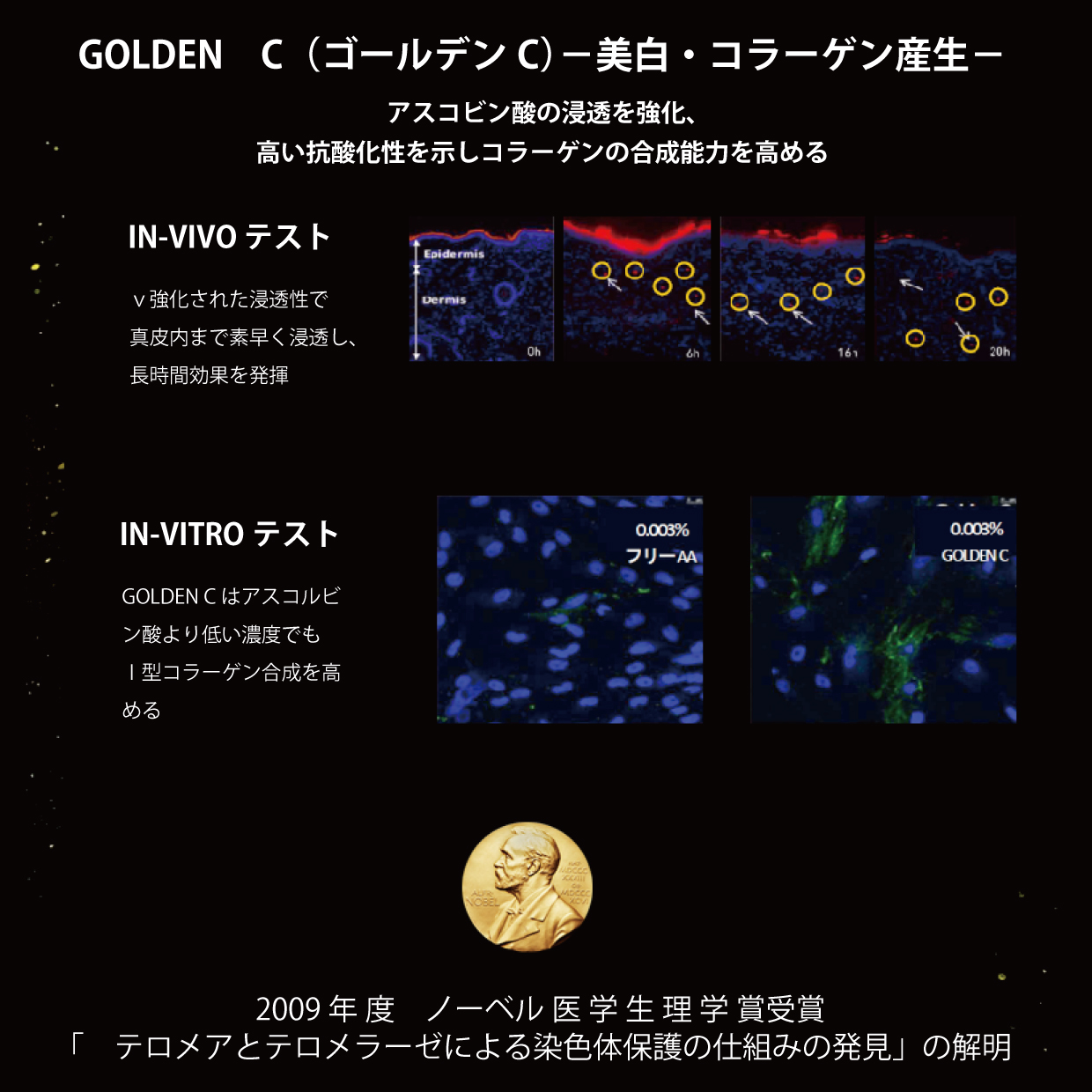 海外で大人気☆BIJOU DE MER「海の美宝」ボーテアンバリエンテ