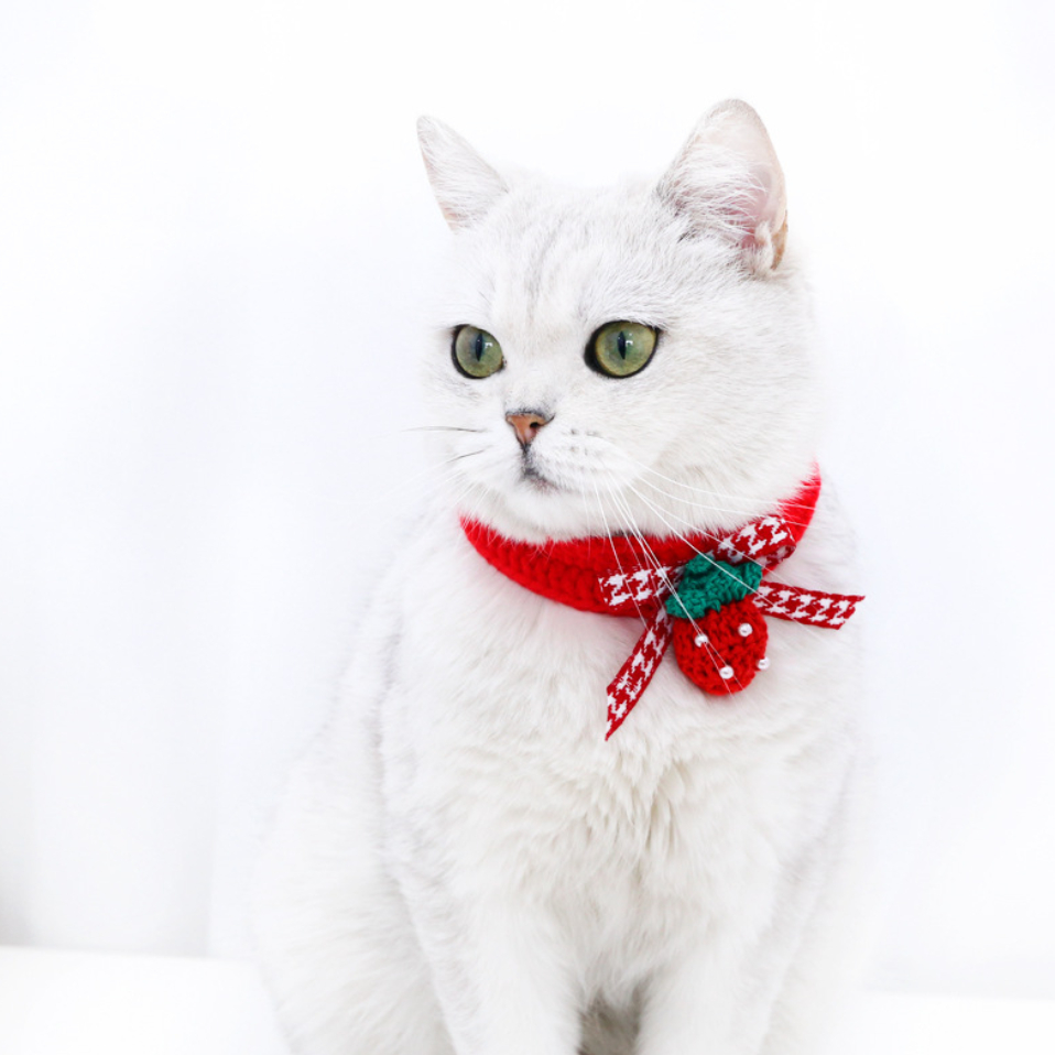 ナチュラル＆クラシカルなペチコートワンピース　つけ襟付き　犬服　ハンドメイド ナチュラル＆クラシカルなペチコートワンピースつけ襟付き犬服ハンドメイド