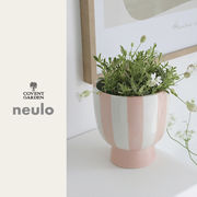 ■コベントガーデン■　【neulo -ニューロ-】 シエル・ピーチポット
