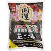 花ごころ大粒 500g 花ごころ