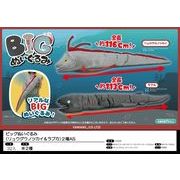 BIGぬいぐるみ（リュウグウノツカイ＆ラブカ）