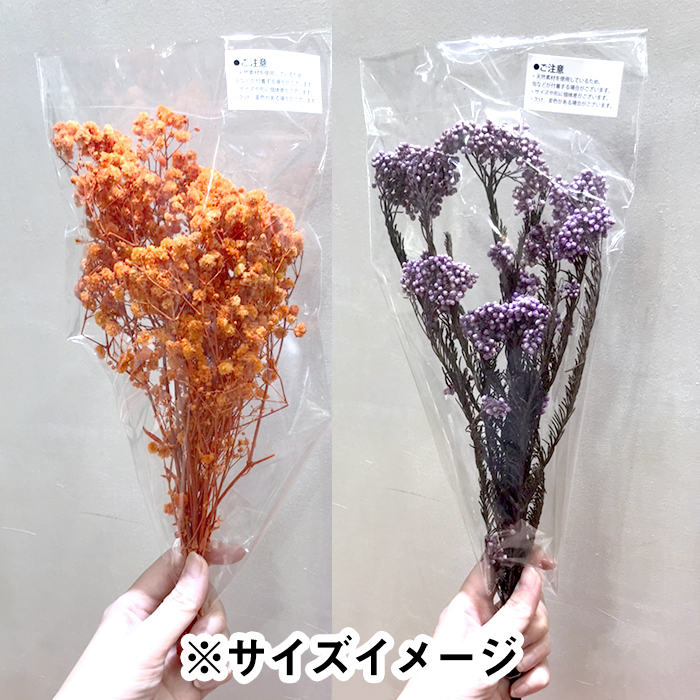 特価【110. ドライフラワー 束】かすみ草 カスミソウ スターチス
