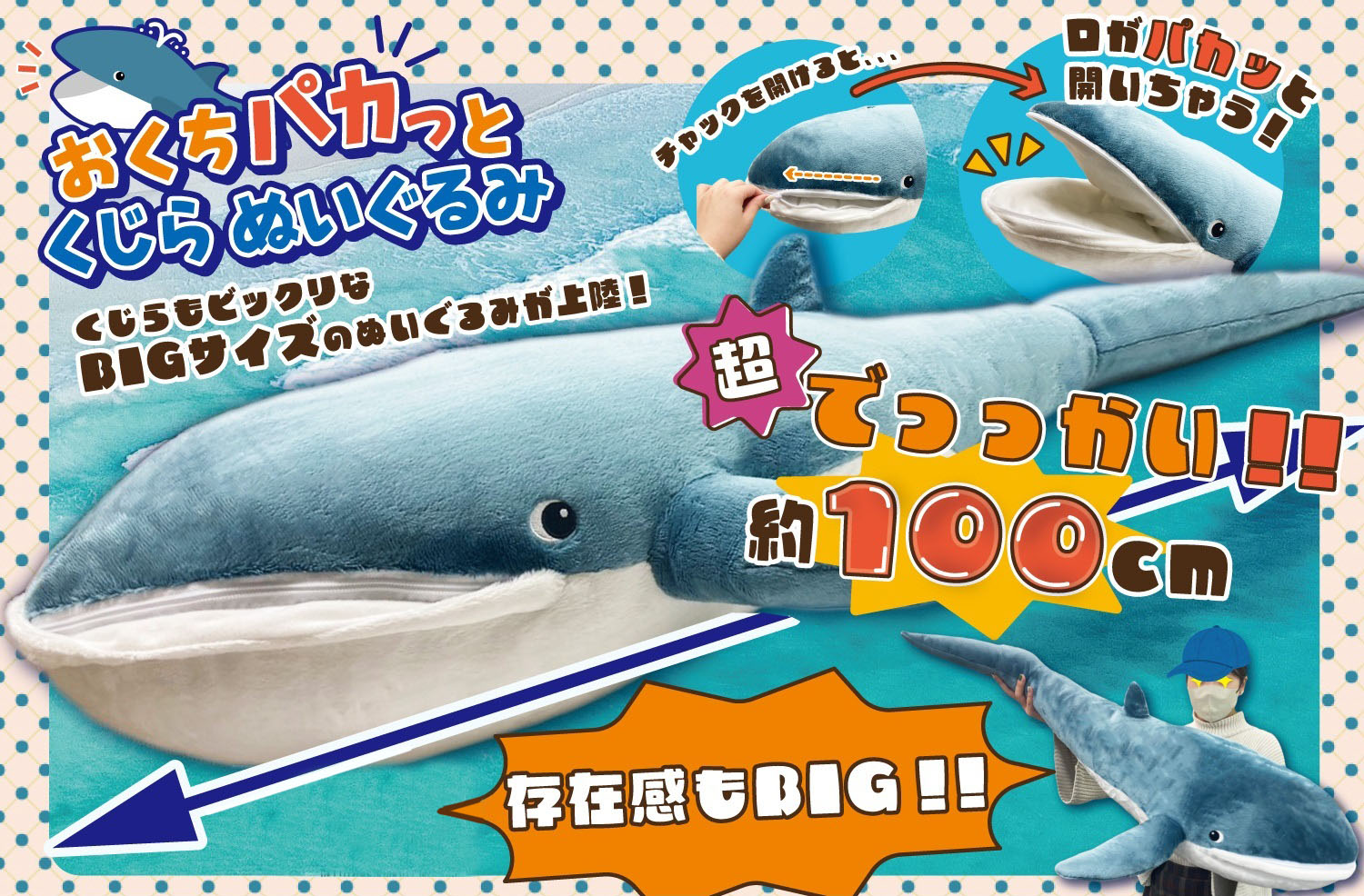 【サイズ交換ＯＫ】 特価】おくちパカっとくじらぬいぐるみ【ぬいぐるみ】 | 卸売 アイドル