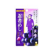 ＵＨＡ味覚糖 忍者めし 巨峰 20gx10