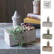 ■カルナック■■多肉アイテム■　アンティークシャトー　D