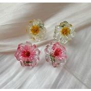 ドライフラワーピアス