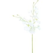 【造花】オンシジューム　ホワイト　FZY-0447W